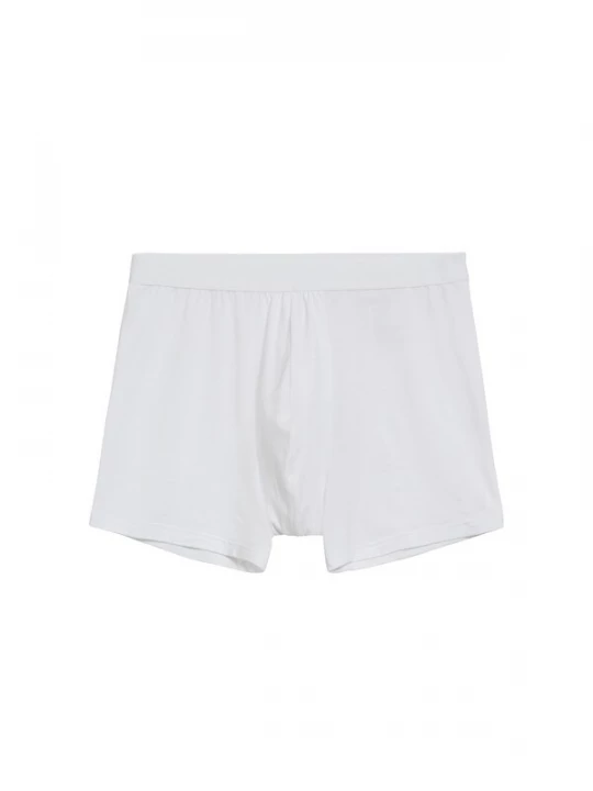 Foto van product ARMEDANGELS Boxershorts 'Ricaard' wit