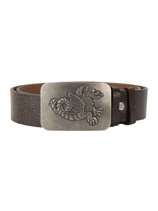 Foto van product BA98 Riem bruin