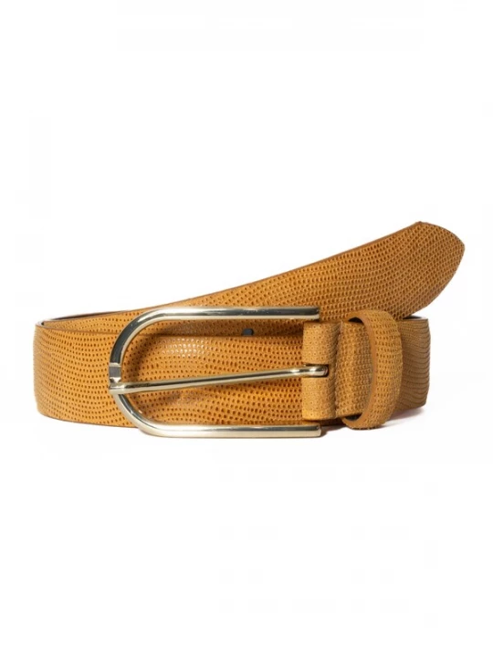 Foto van product BA98 Riem geel