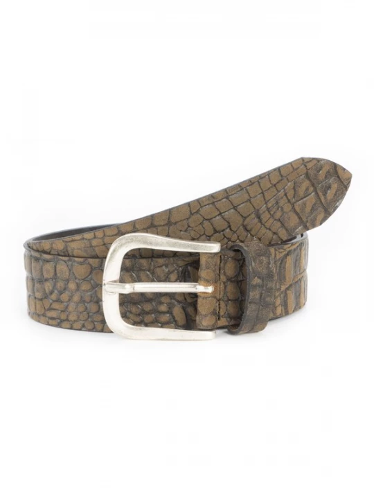 Foto van product BA98 Riem groen