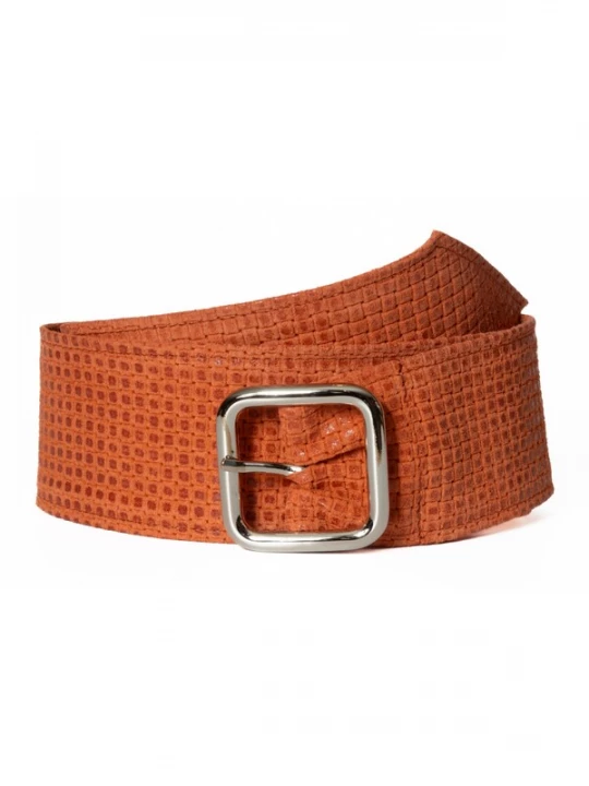 Foto van product BA98 Riem oranje