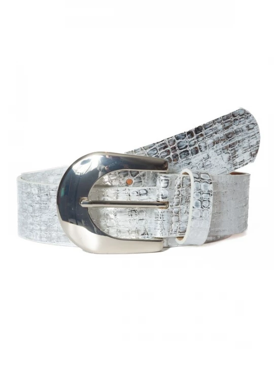 Foto van product BA98 Riem zilver