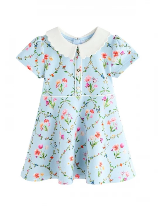 Foto van product Baker by Ted Baker Jurk lichtblauw / olijfgroen / oudroze / wit