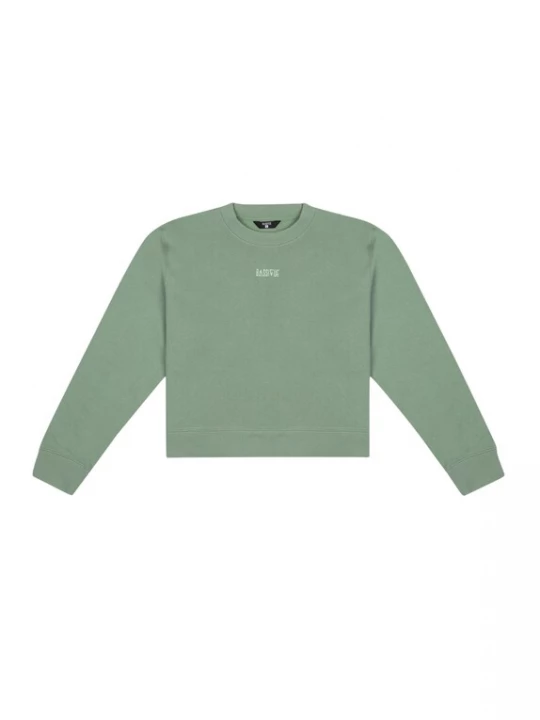 Foto van product BASSIGUE Sweatshirt groen