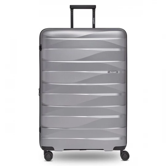 Foto van product Bergpfeil Trolley 'Travel' zilver