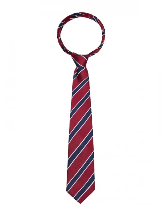 Foto van product Bershka Stropdas marine / rood / wit