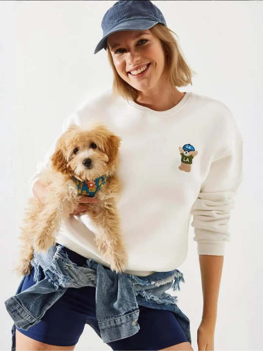 Foto van product Bianco Lucci Sweatshirt beige / azuur / cappuccino / olijfgroen