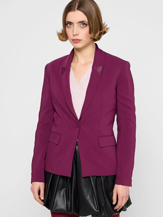 Foto van product Blazer Pinko