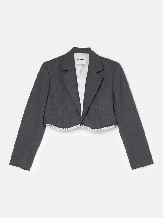 Foto van product Blazer Sandro grijs