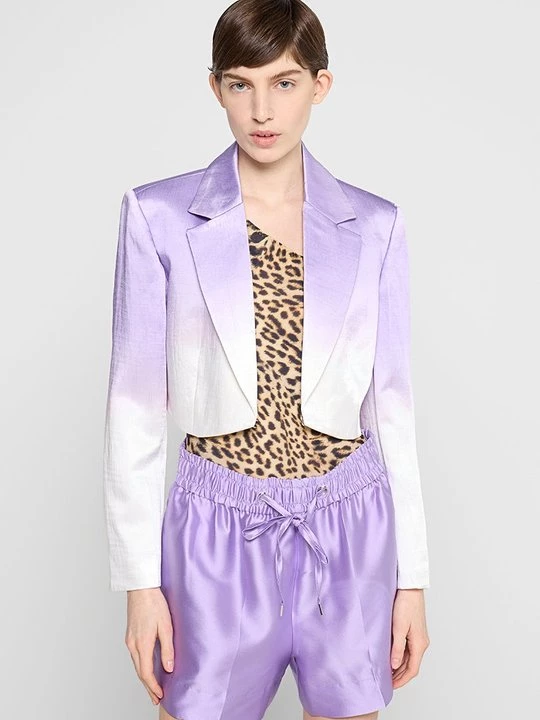 Foto van product Blazer Sandro lila