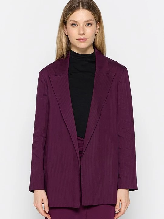 Foto van product Blazer Sisley paars