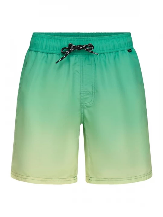 Foto van product BLEND Zwemshorts ' BHRislea ' groen