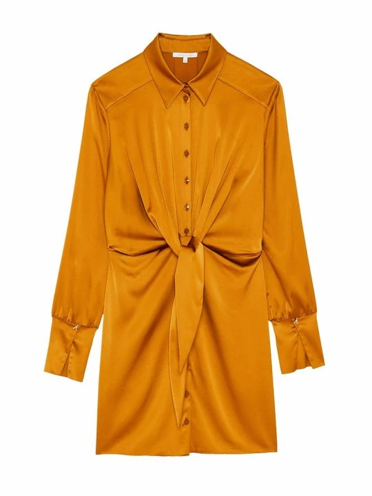 Foto van product Blousejurk Patrizia Pepe bruin