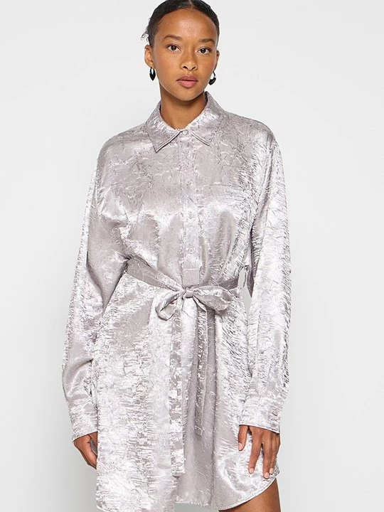 Foto van product Blousejurk Pinko zilverkleurig