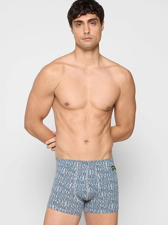 Foto van product Boxershort Emporio Armani grijs