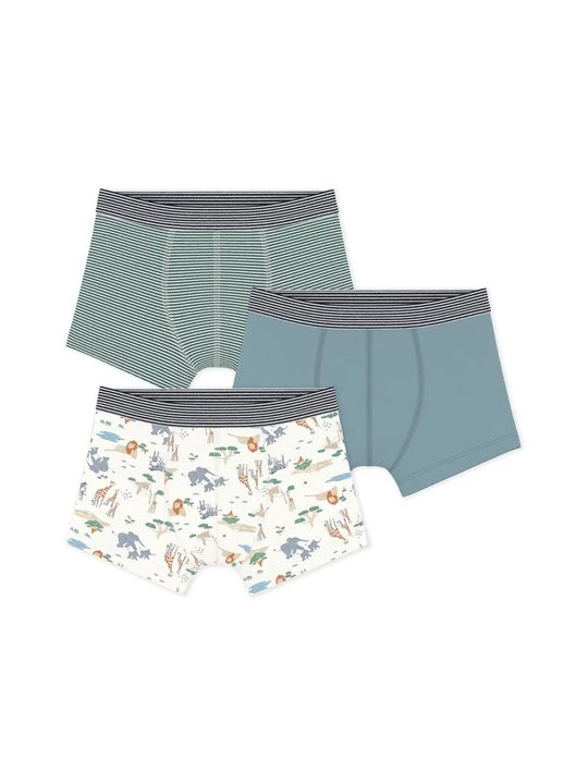 Foto van product Boxershort Petit Bateau