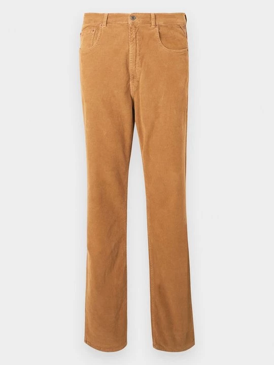 Foto van product Broek Replay lichtbruin