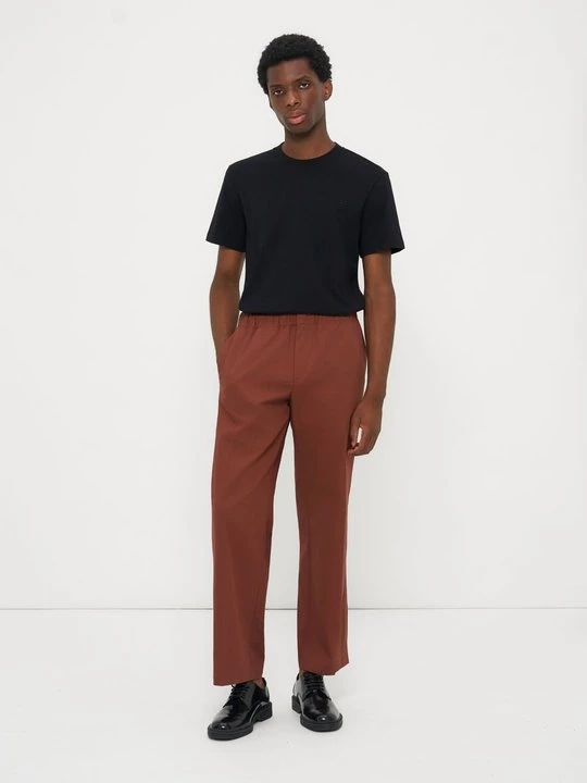Foto van product Broek Sandro bruin