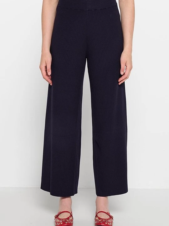 Foto van product Broek Ted Baker donkerblauw
