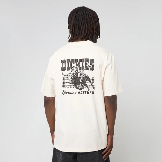 Foto van product Buchtell Short Sleeve Tee Dickies beżowy