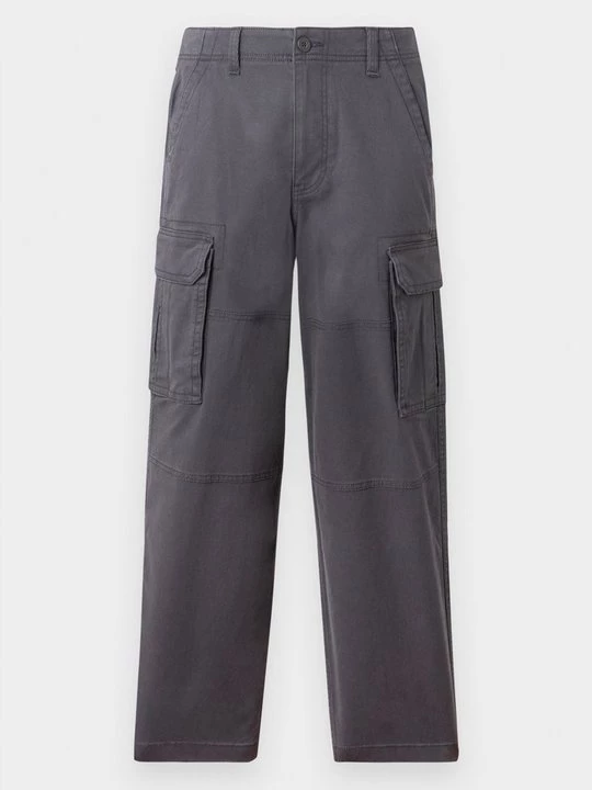Foto van product Cargobroek Hollister Co. grijs