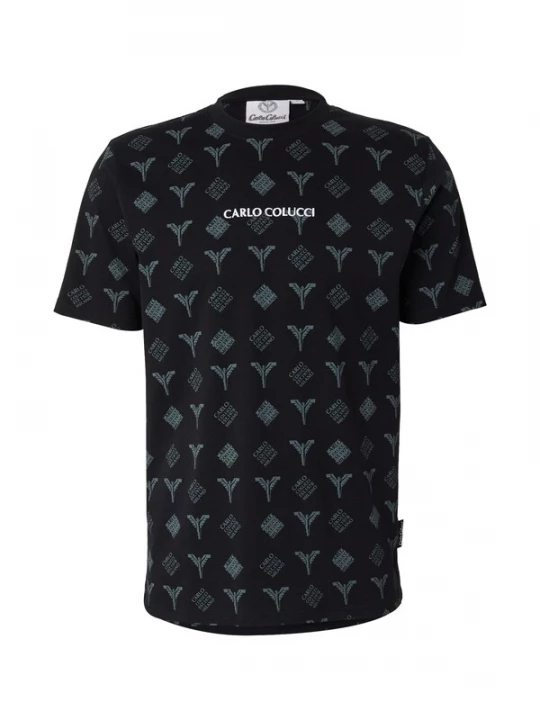Foto van product Carlo Colucci Shirt 'Falchi' pastelgroen / zwart / wit