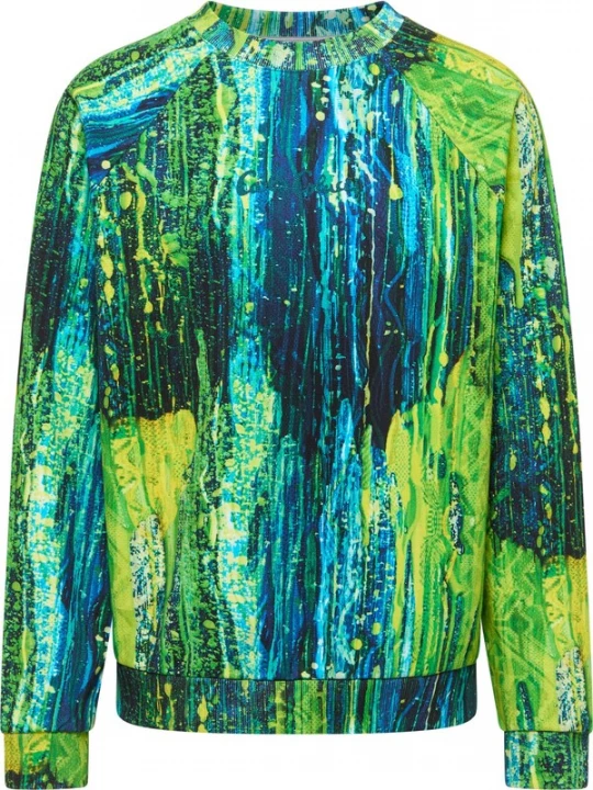 Foto van product Carlo Colucci Sweatshirt 'Fauster' blauw / groen