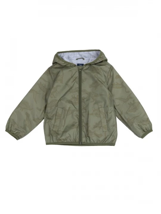 Foto van product Chicco Tussenjas groen