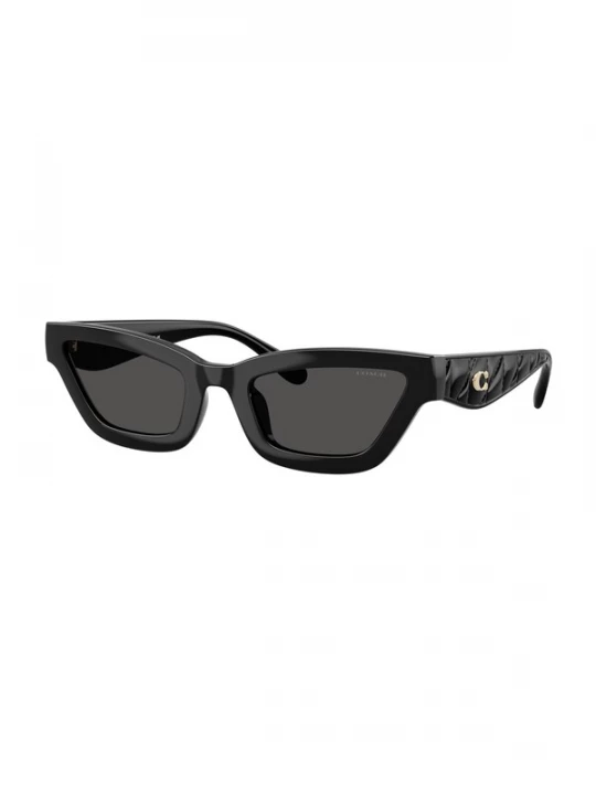 Foto van product COACH Zonnebril 'CAD28' zwart