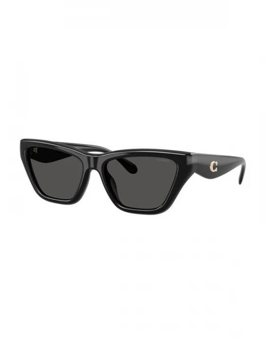 Foto van product COACH Zonnebril 'CDP33' zwart