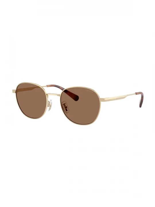 Foto van product COACH Zonnebril 'CDP36' chocoladebruin / goud