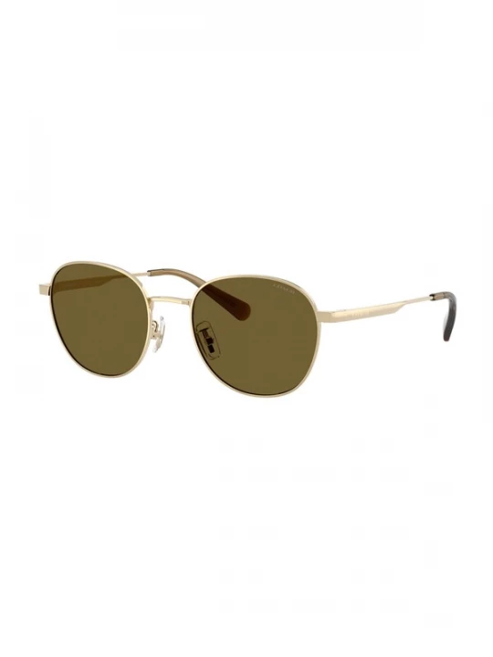 Foto van product COACH Zonnebril 'CDP36' goud