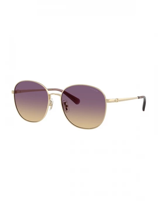 Foto van product COACH Zonnebril 'CDP39' goud