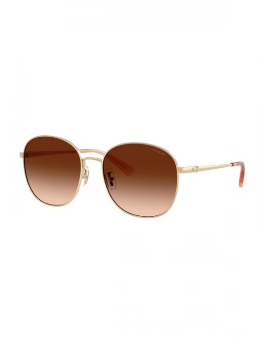Foto van product COACH Zonnebril 'CDP39' goud