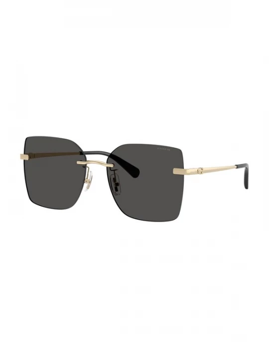 Foto van product COACH Zonnebril 'CDP45' goud