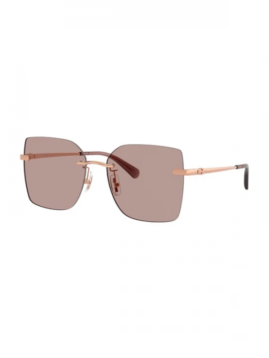 Foto van product COACH Zonnebril 'CDP45' rosé