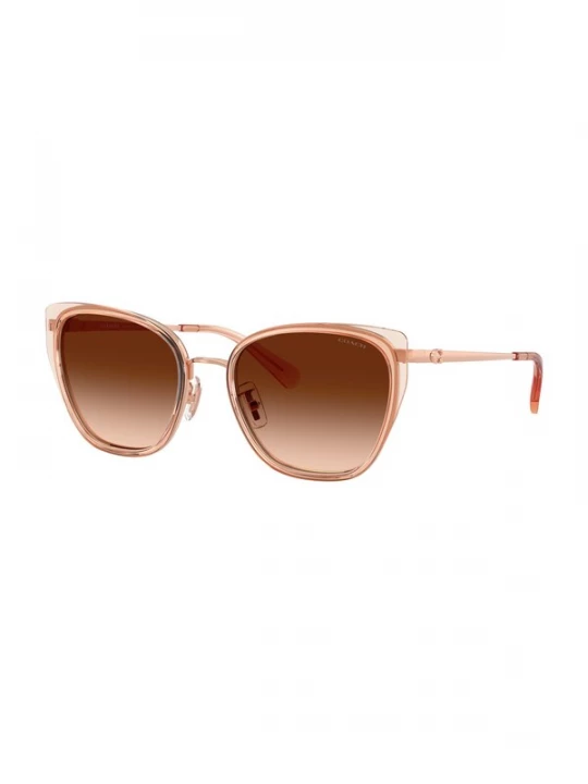 Foto van product COACH Zonnebril 'CDP56' bruin / rose-goud / rosa