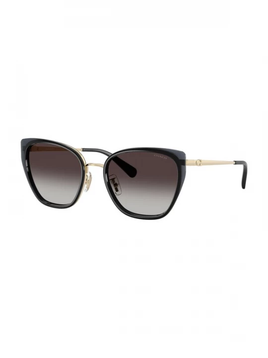 Foto van product COACH Zonnebril 'CDP56' goud / zwart
