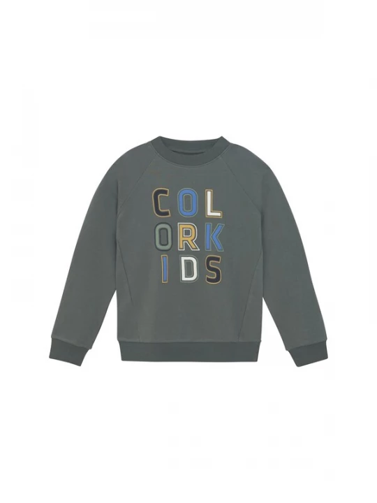 Foto van product COLOR KIDS Trui ' COSweat W. JR. Logo Print ' groen