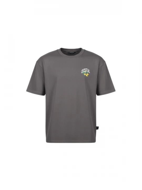 Foto van product Crystal Paris Shirt 'Polo Club' grijs