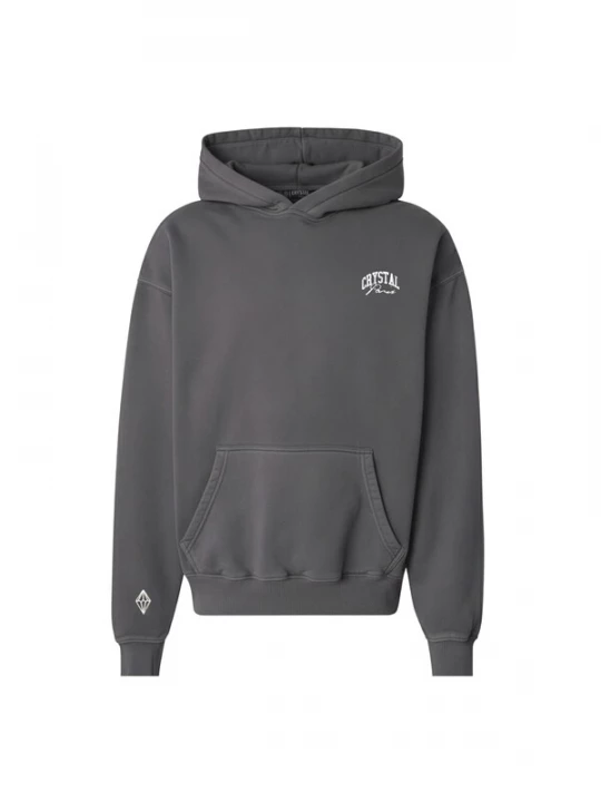 Foto van product Crystal Paris Sweatshirt 'Nightwolf' grijs