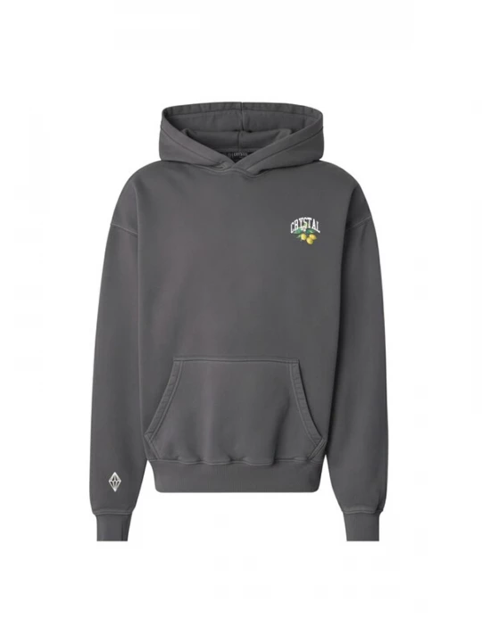 Foto van product Crystal Paris Sweatshirt 'Polo Club' grijs