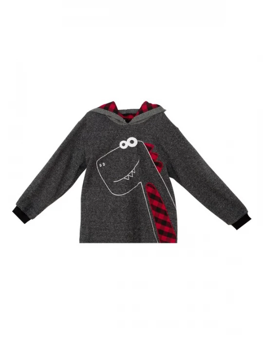 Foto van product Denokids Trui ' CFF-24S1-061 ' donkergrijs / rood / wit
