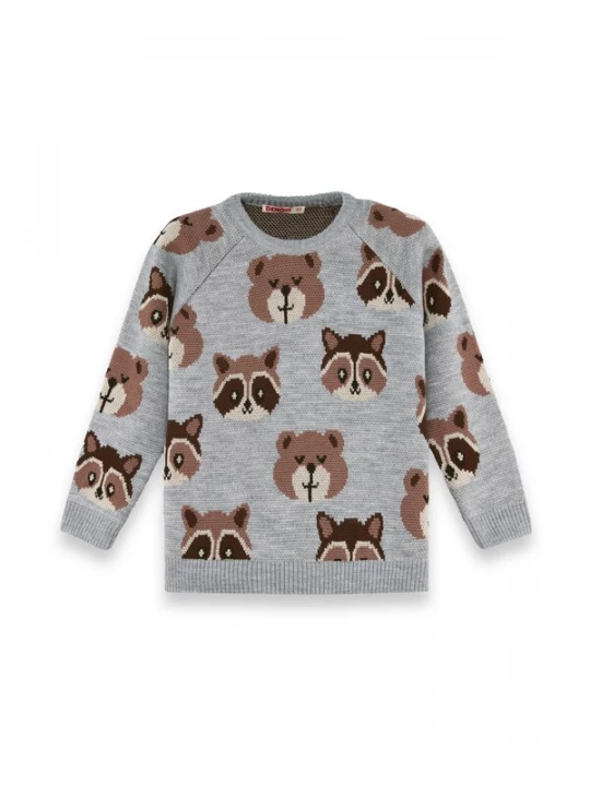 Foto van product Denokids Trui ' CFF-25S-065 ' bruin / grijs
