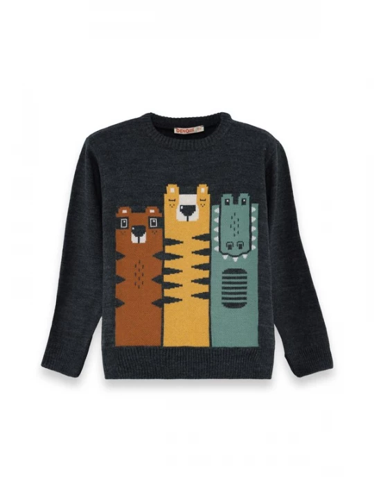 Foto van product Denokids Trui ' CFF-25S1-055 ' donkergrijs