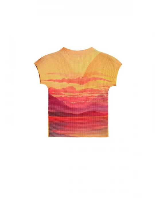 Foto van product Desigual Blouse geel / merlot / donkerrood