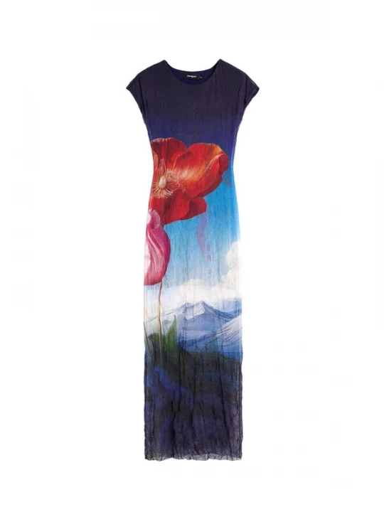 Foto van product Desigual Jurk blauw / lila / rood