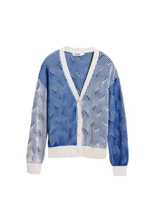 Foto van product Desigual Trui blauw