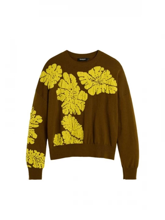 Foto van product Desigual Trui bruin