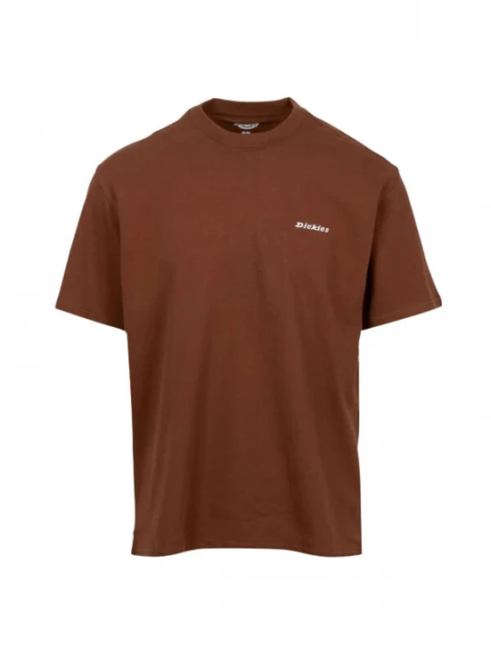 Foto van product DICKIES Shirt 'DICKIES LORETTO SS' bruin